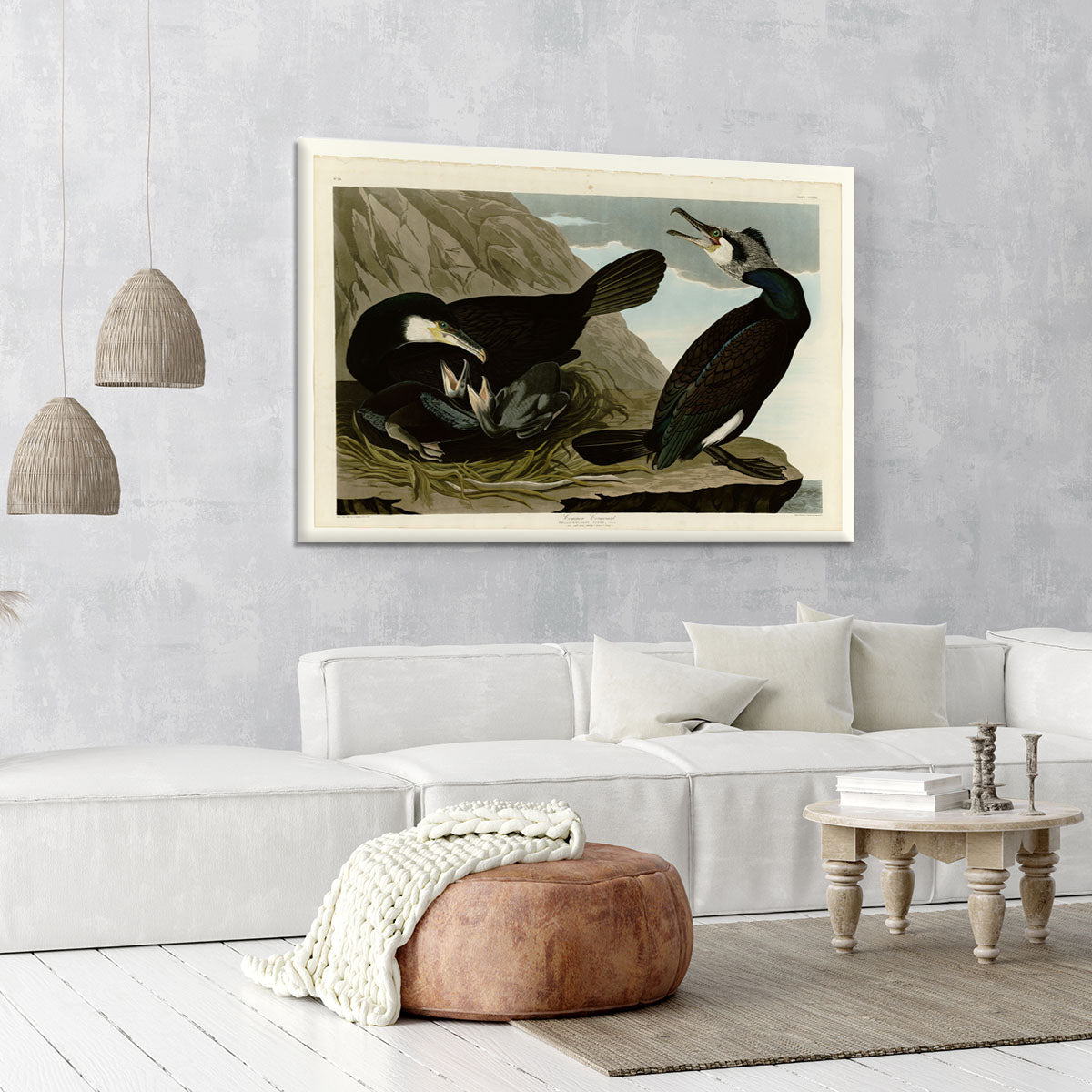 Common Cormorant by Audubon Canvas Print or Poster - Canvas Art Rocks - 6