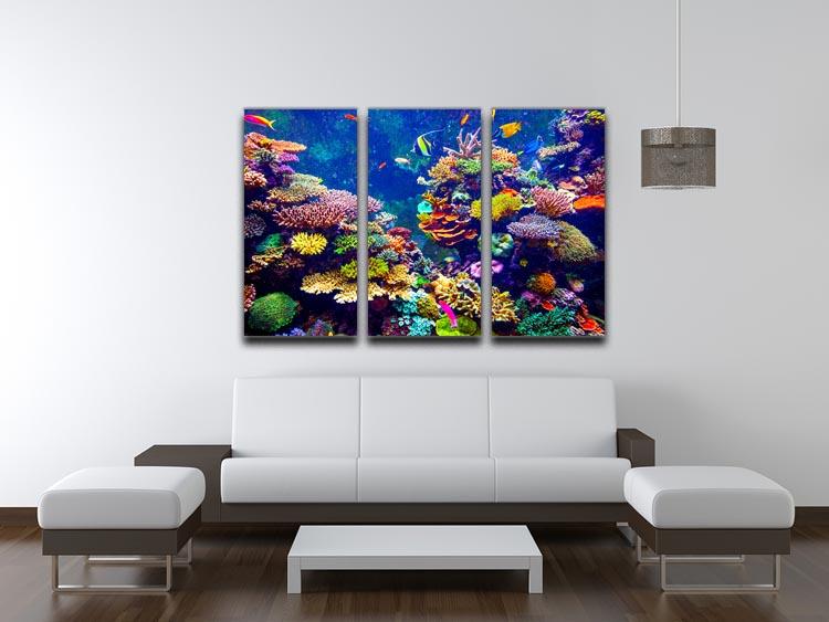 Coral Reef and Tropical Fish 3 Split Panel Canvas Print - Canvas Art Rocks - 3