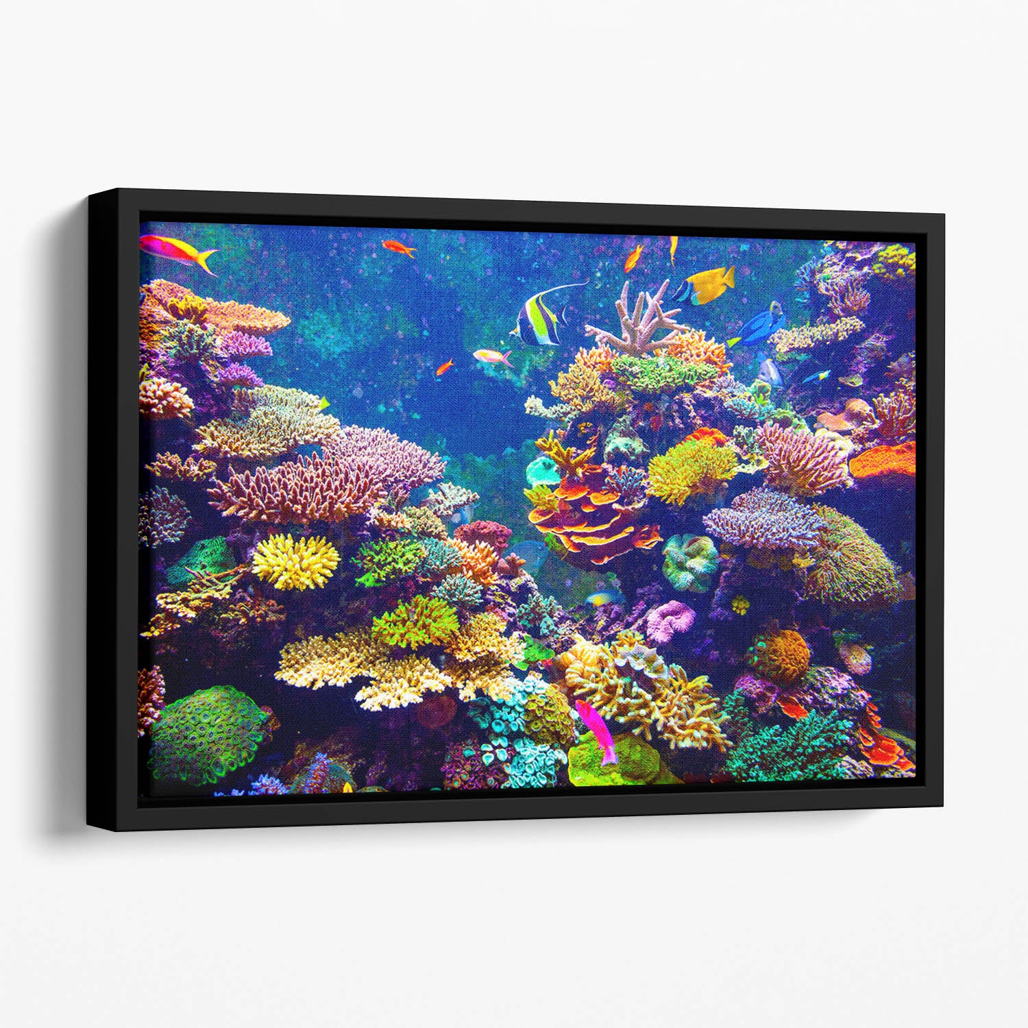 Coral Reef and Tropical Fish Floating Framed Canvas