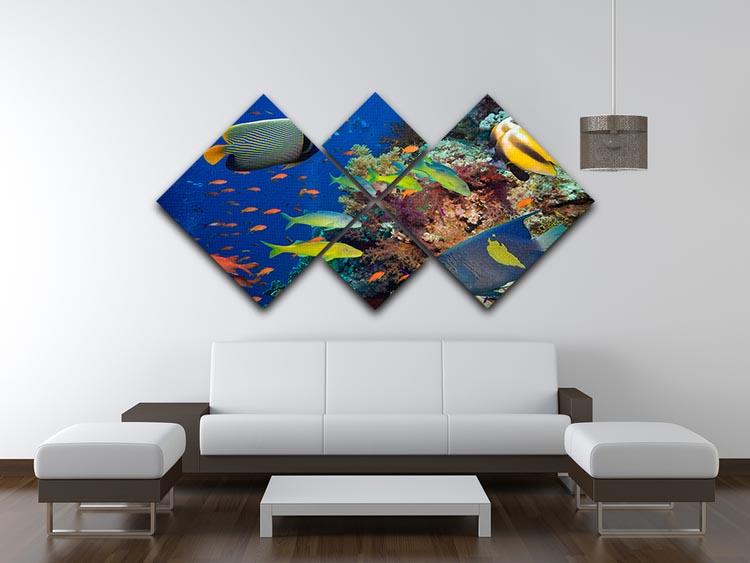Coral Reef on Red Sea 4 Square Multi Panel Canvas  - Canvas Art Rocks - 3
