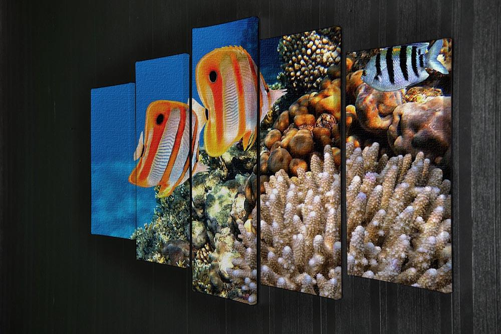 Coral reef and Copperband butterflyfish 5 Split Panel Canvas  - Canvas Art Rocks - 2