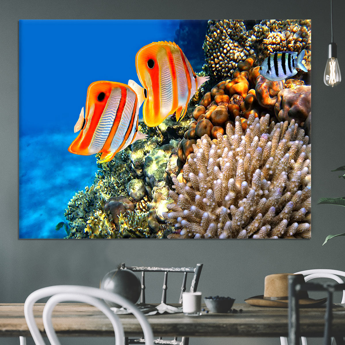 Coral reef and Copperband butterflyfish Canvas Print or Poster - Canvas Art Rocks - 3