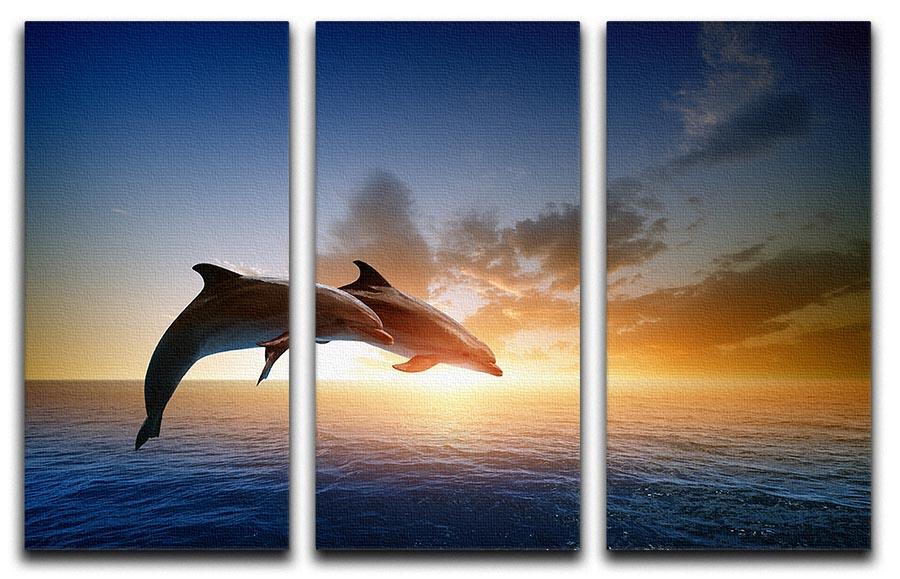 Couple jumping dolphins 3 Split Panel Canvas Print - Canvas Art Rocks - 1