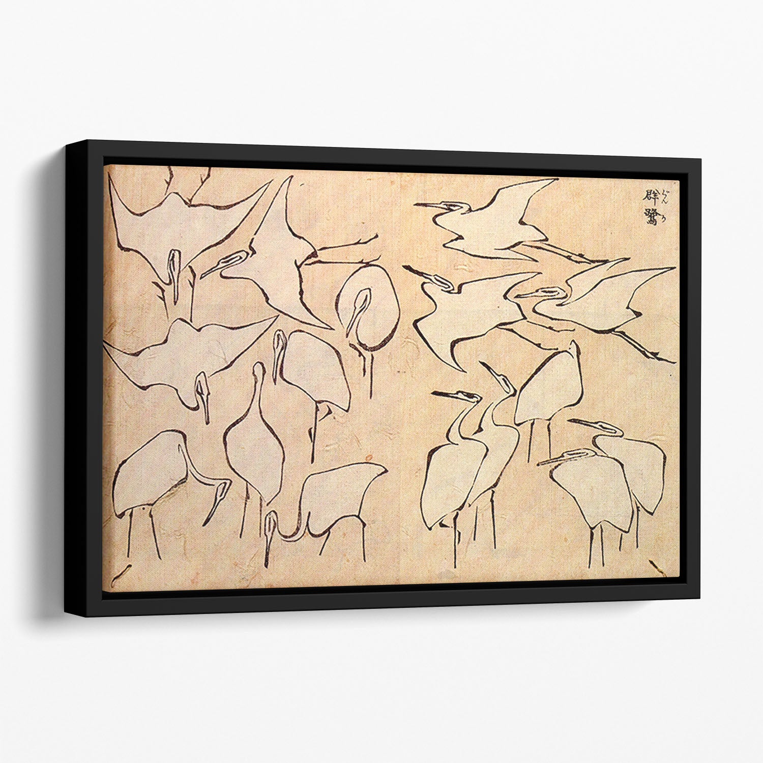 Cranes by Hokusai Floating Framed Canvas