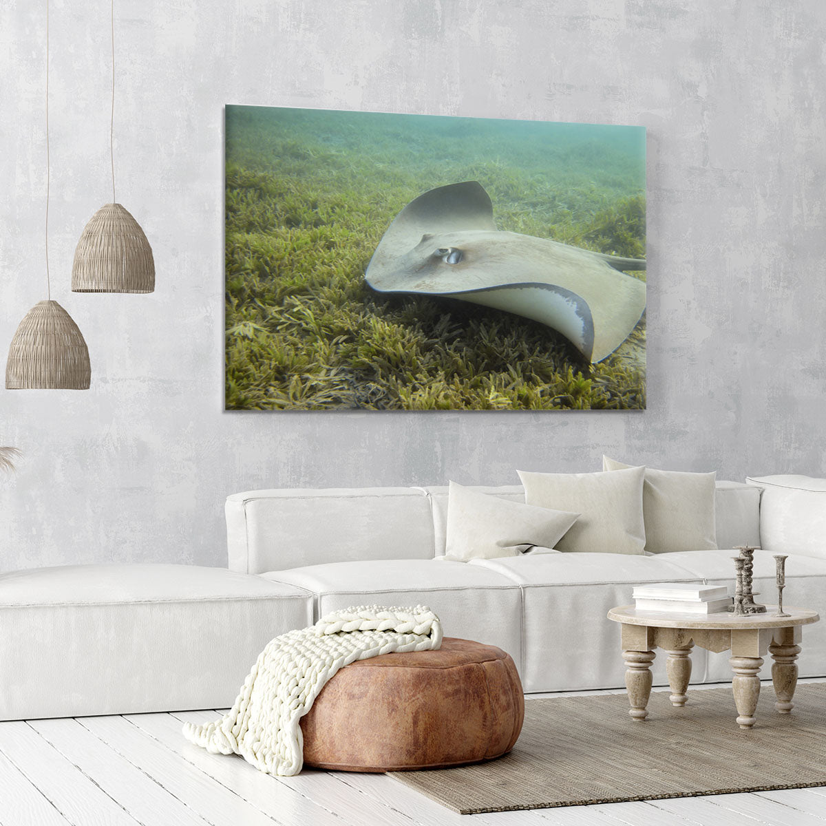 Darkspotted stingray Canvas Print or Poster - Canvas Art Rocks - 6
