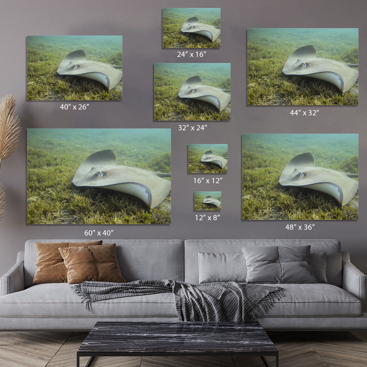 Darkspotted stingray Canvas Print or Poster - Canvas Art Rocks - 7