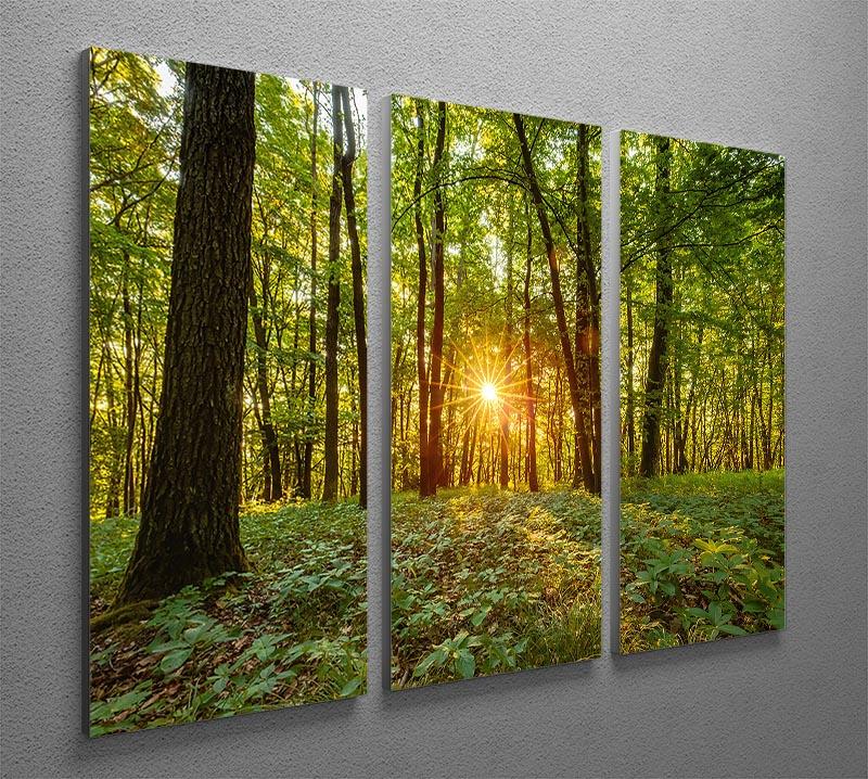 Dawn in the forest of Bavaria 3 Split Panel Canvas Print - Canvas Art Rocks - 2