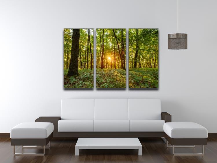 Dawn in the forest of Bavaria 3 Split Panel Canvas Print - Canvas Art Rocks - 3