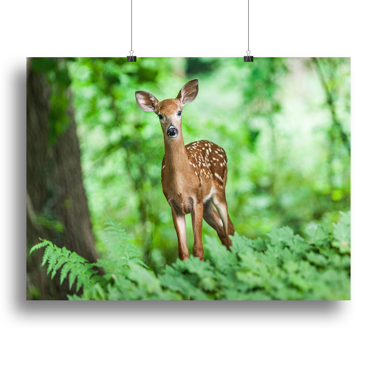 Deer In The Forest Canvas Print or Poster - Canvas Art Rocks - 2