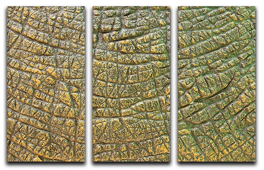 Dinosaur Skin Texture 3 Split Panel Canvas Print - Canvas Art Rocks - 1