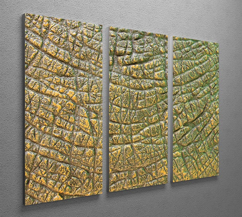 Dinosaur Skin Texture 3 Split Panel Canvas Print - Canvas Art Rocks - 2