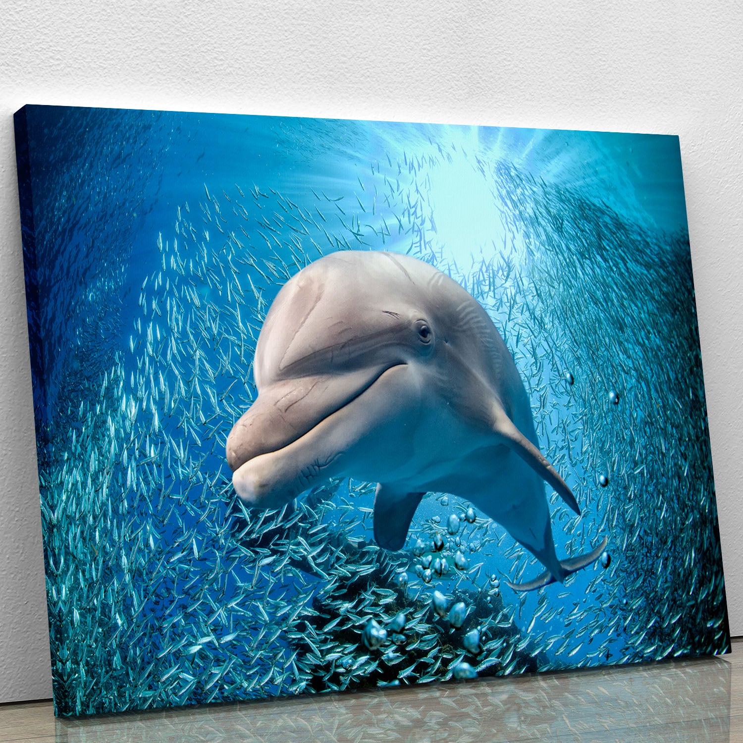 Dolphin underwater on ocean Canvas Print or Poster - Canvas Art Rocks - 1