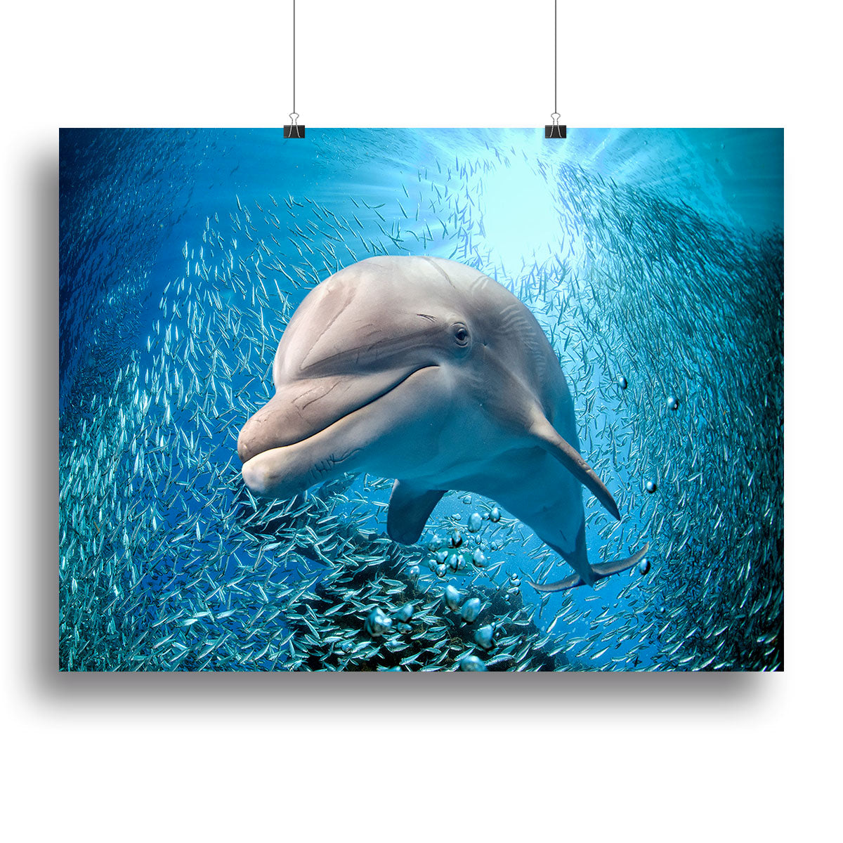 Dolphin underwater on ocean Canvas Print or Poster - Canvas Art Rocks - 2