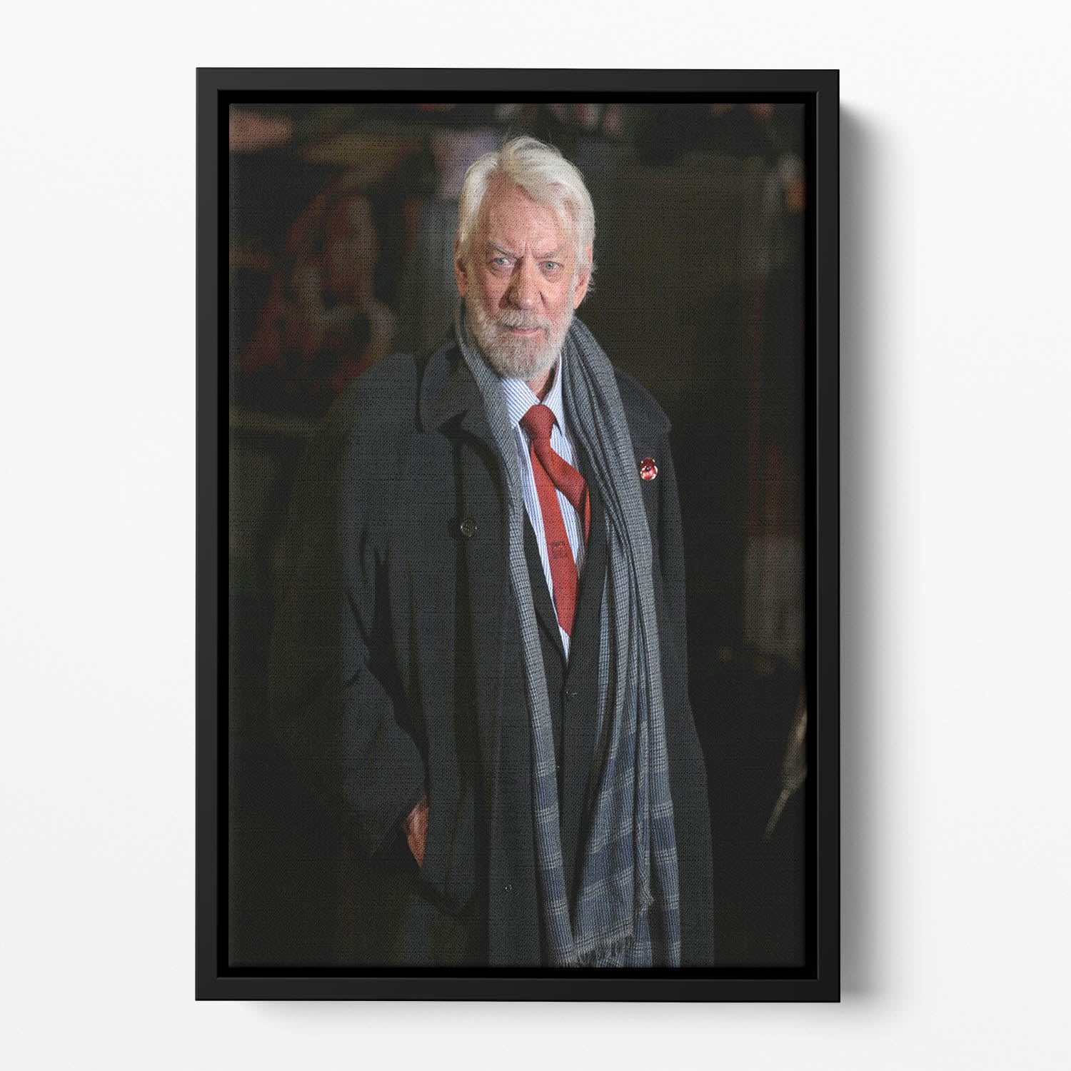 Donald Sutherland Floating Framed Canvas