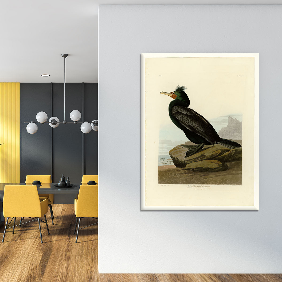 Double crested Cormorant by Audubon Canvas Print or Poster - Canvas Art Rocks - 4