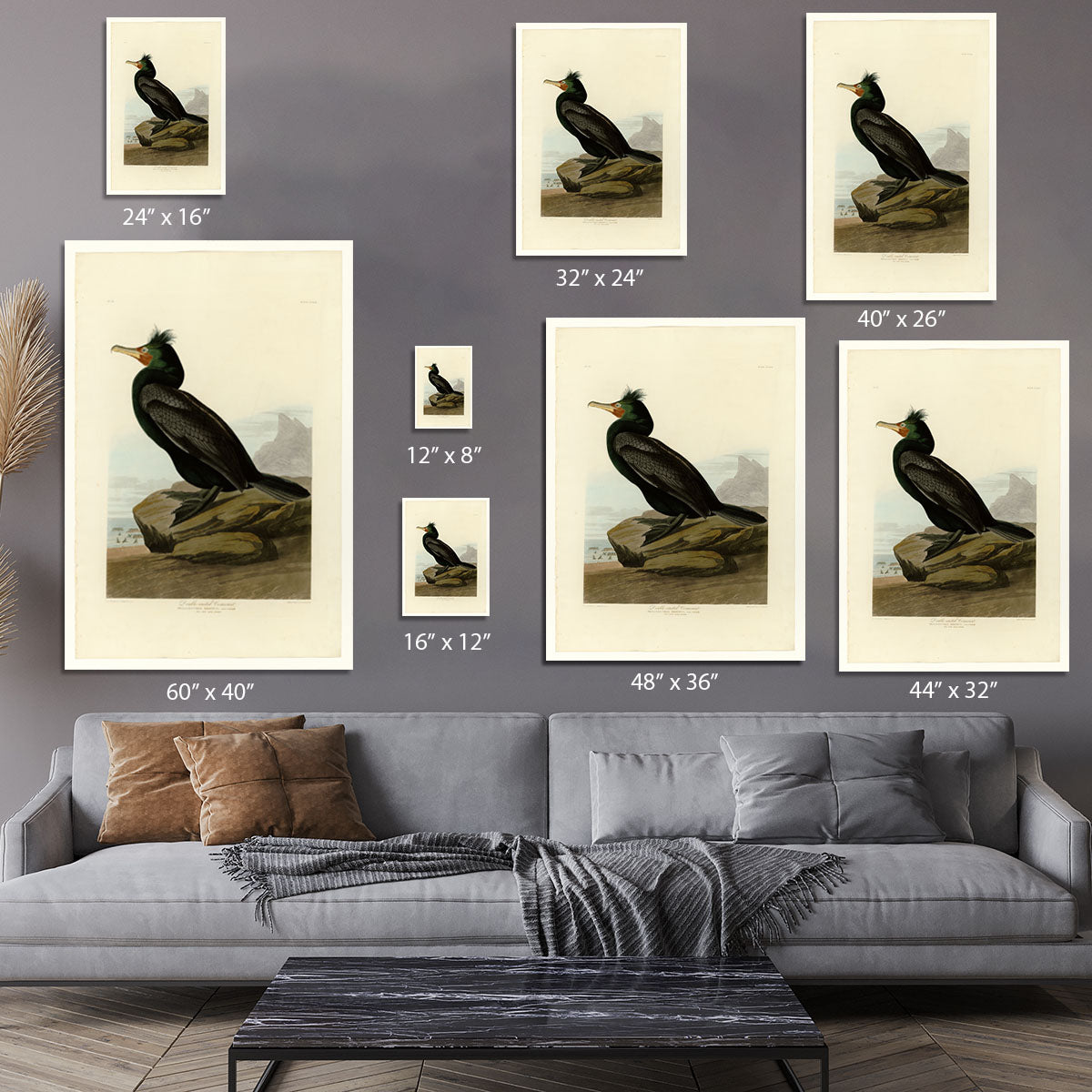 Double crested Cormorant by Audubon Canvas Print or Poster - Canvas Art Rocks - 7