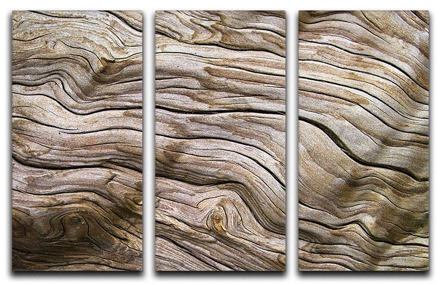 Driftwood 3 Split Panel Canvas Print - Canvas Art Rocks - 1