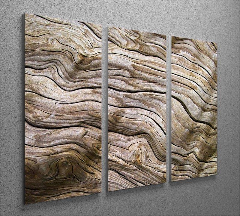 Driftwood 3 Split Panel Canvas Print - Canvas Art Rocks - 2