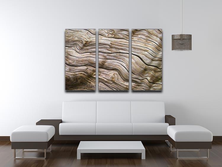 Driftwood 3 Split Panel Canvas Print - Canvas Art Rocks - 3