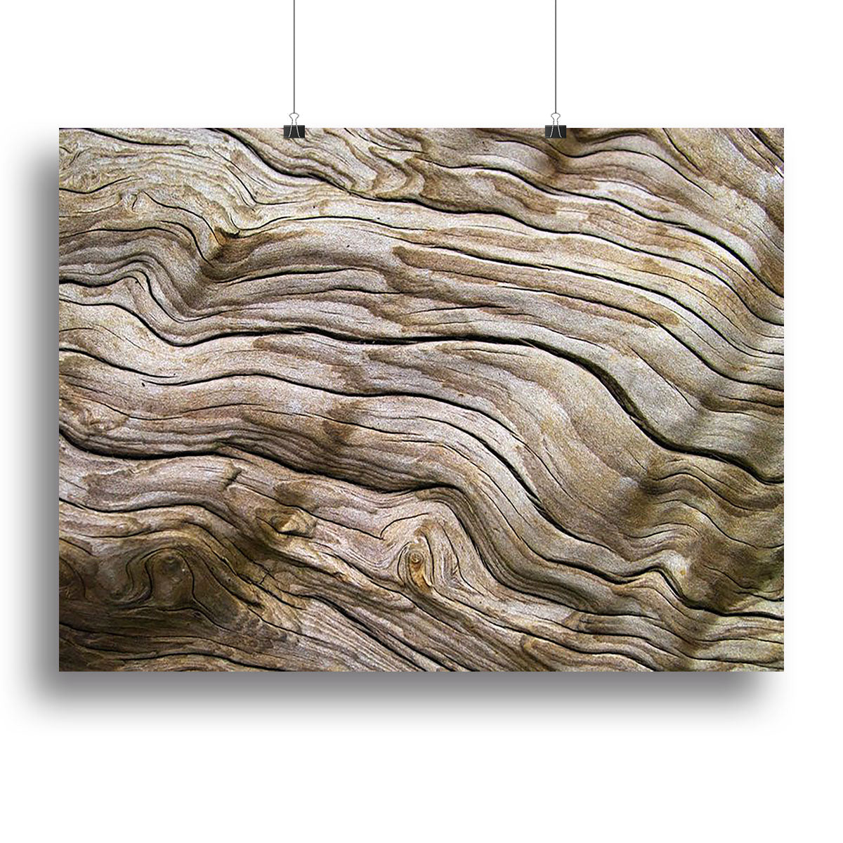 Driftwood Canvas Print or Poster - Canvas Art Rocks - 2
