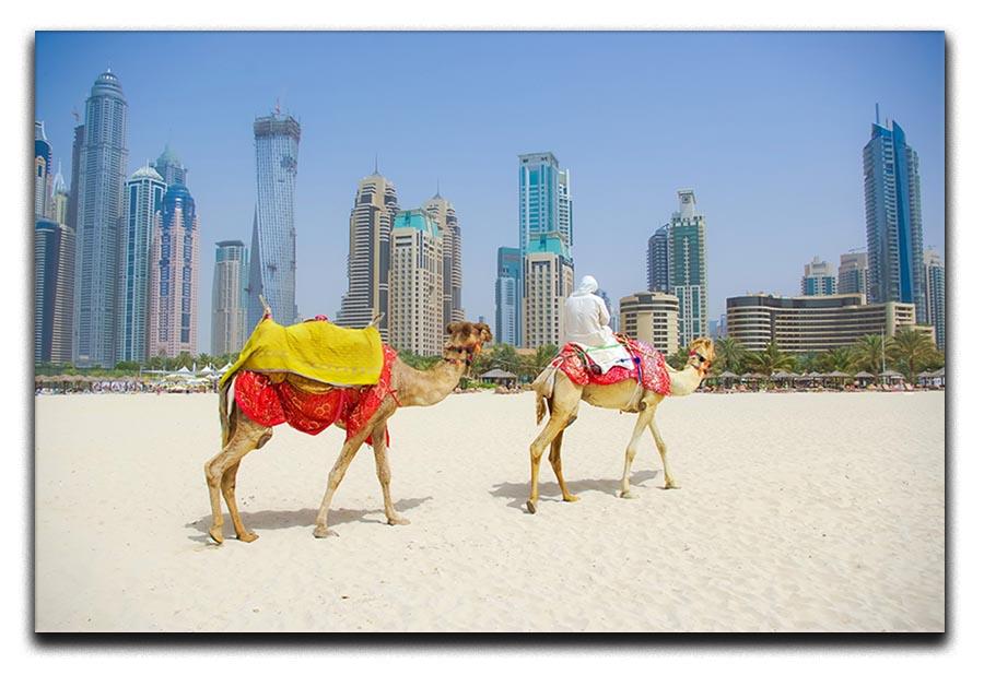 Dubai Camel on the town scape backround Canvas Print or Poster  - Canvas Art Rocks - 1
