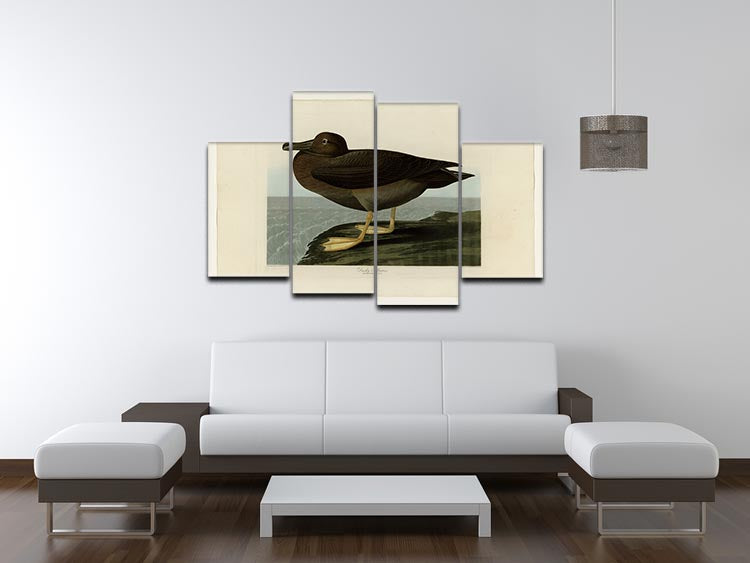 Dusky Albatros by Audubon 4 Split Panel Canvas - Canvas Art Rocks - 3