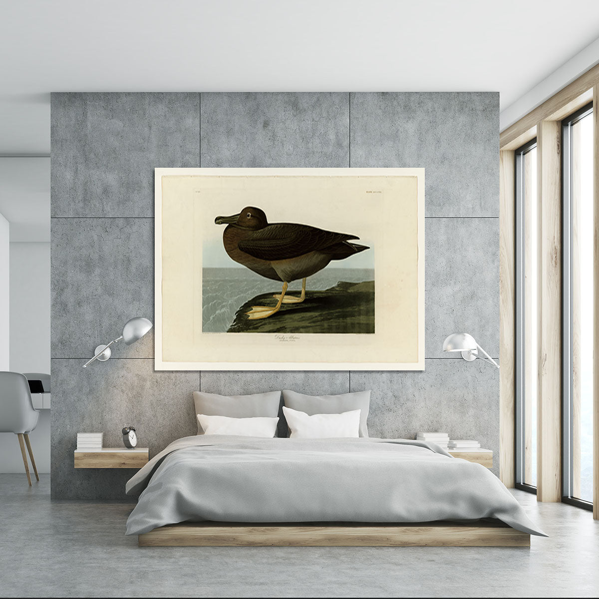 Dusky Albatros by Audubon Canvas Print or Poster - Canvas Art Rocks - 5