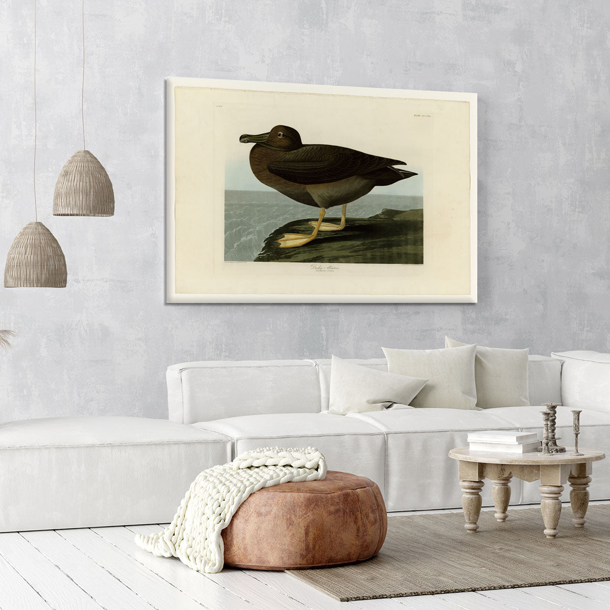 Dusky Albatros by Audubon Canvas Print or Poster - Canvas Art Rocks - 6