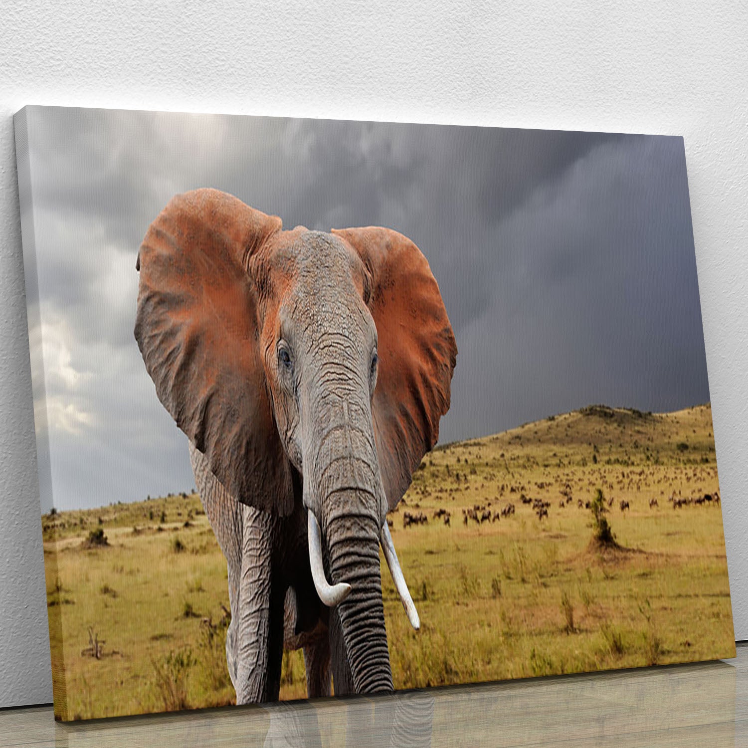 Elephant in National park of Kenya Canvas Print or Poster - Canvas Art Rocks - 1