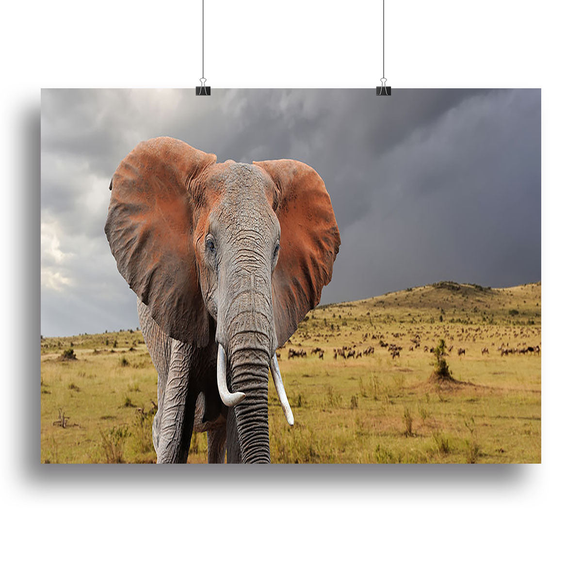 Elephant in National park of Kenya Canvas Print or Poster - Canvas Art Rocks - 2