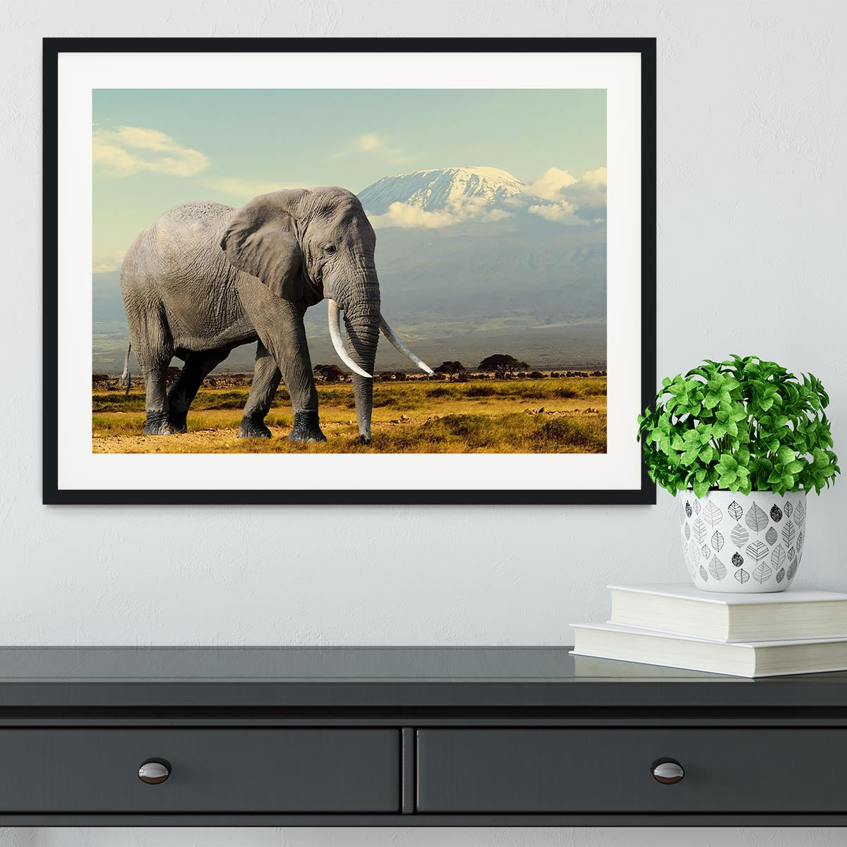Elephant on Kilimajaro mount Framed Print - Canvas Art Rocks - 1