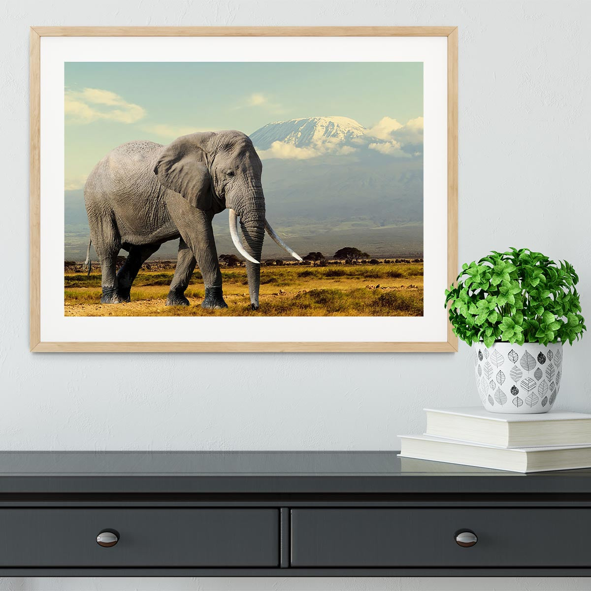 Elephant on Kilimajaro mount Framed Print - Canvas Art Rocks - 3