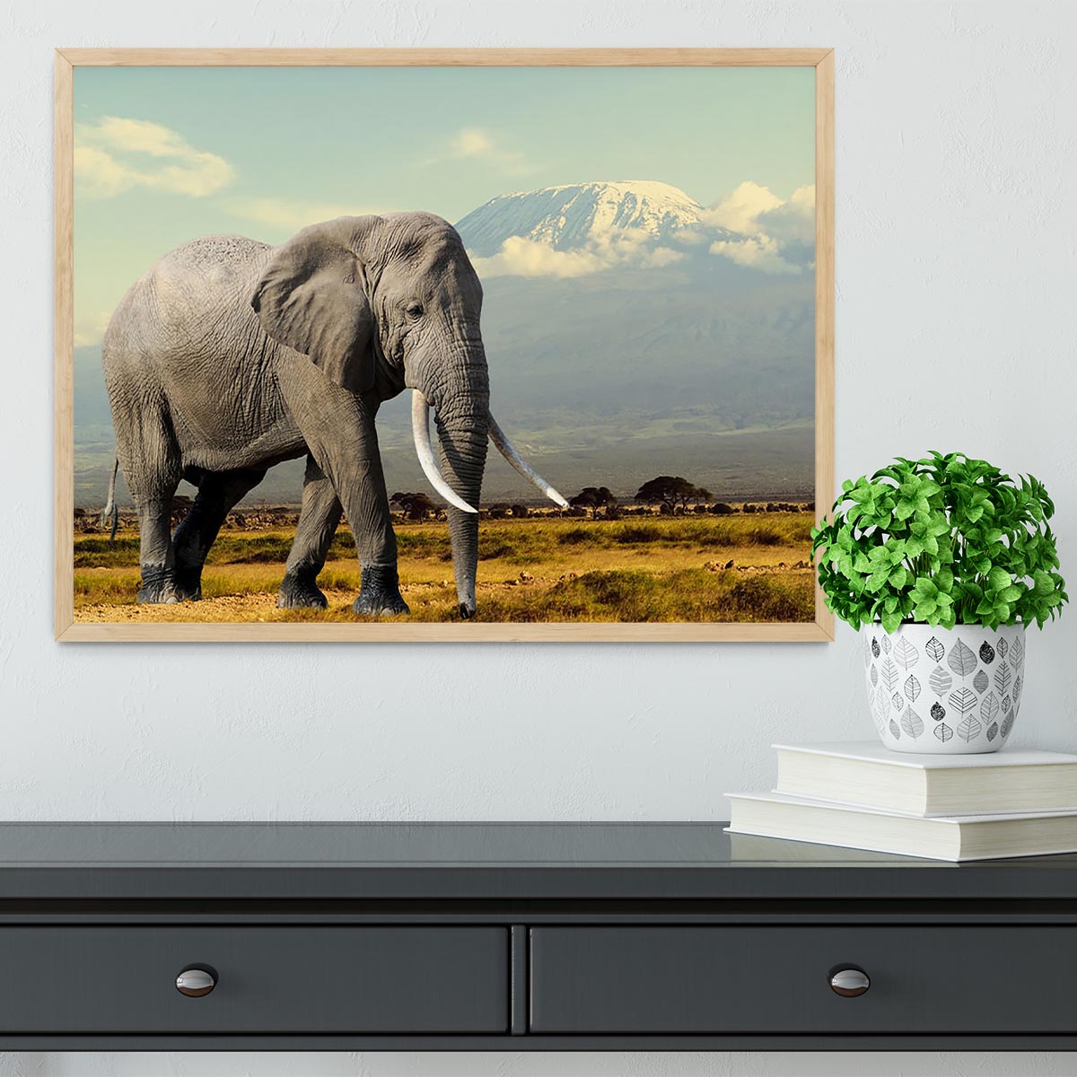 Elephant on Kilimajaro mount Framed Print - Canvas Art Rocks - 4