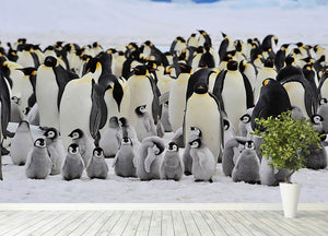 Emperor Penguins with chick Wall Mural Wallpaper - Canvas Art Rocks - 4