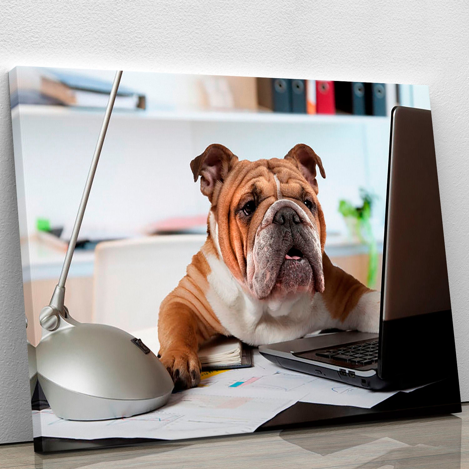 English Bulldog sitting at a desk Canvas Print or Poster - Canvas Art Rocks - 1