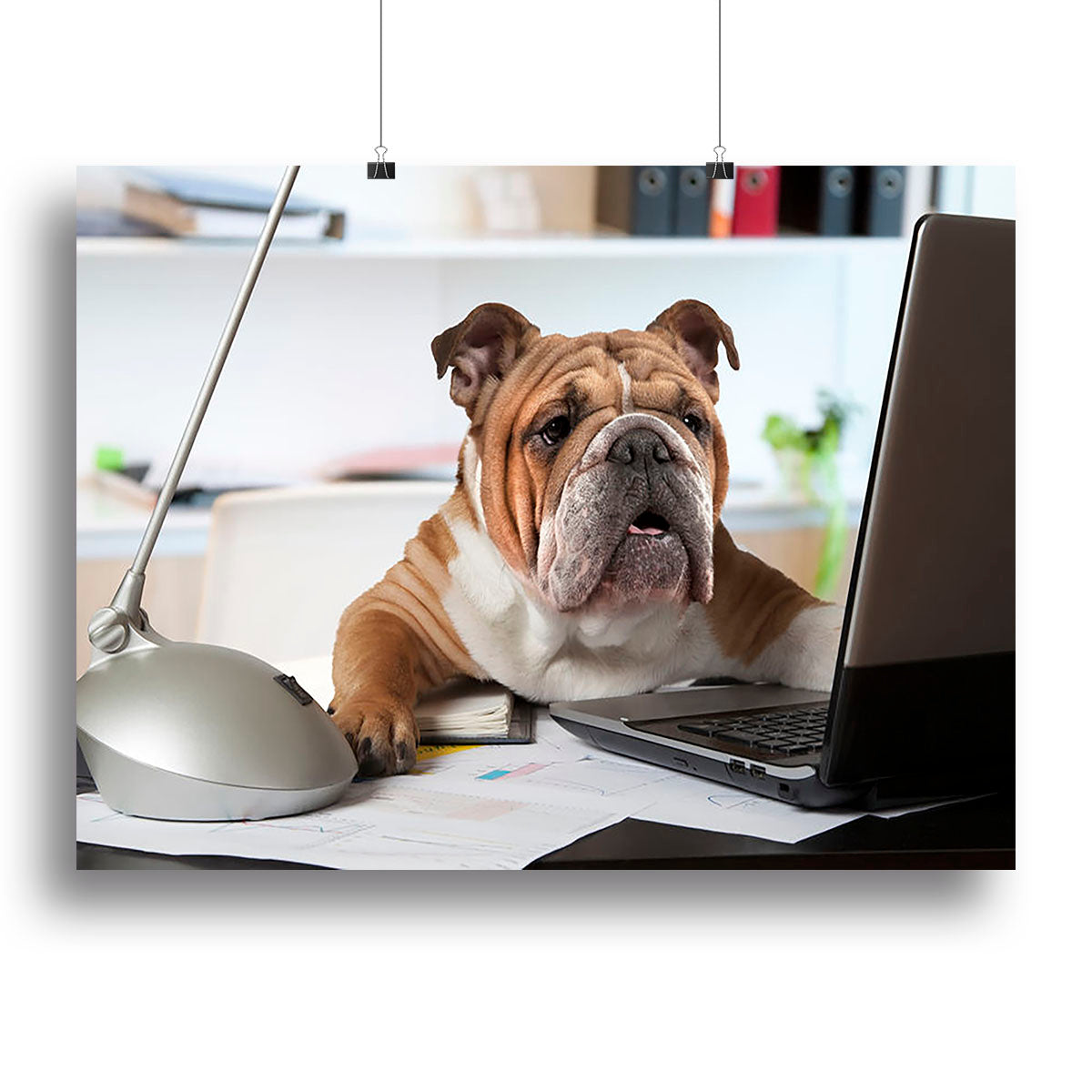 English Bulldog sitting at a desk Canvas Print or Poster - Canvas Art Rocks - 2