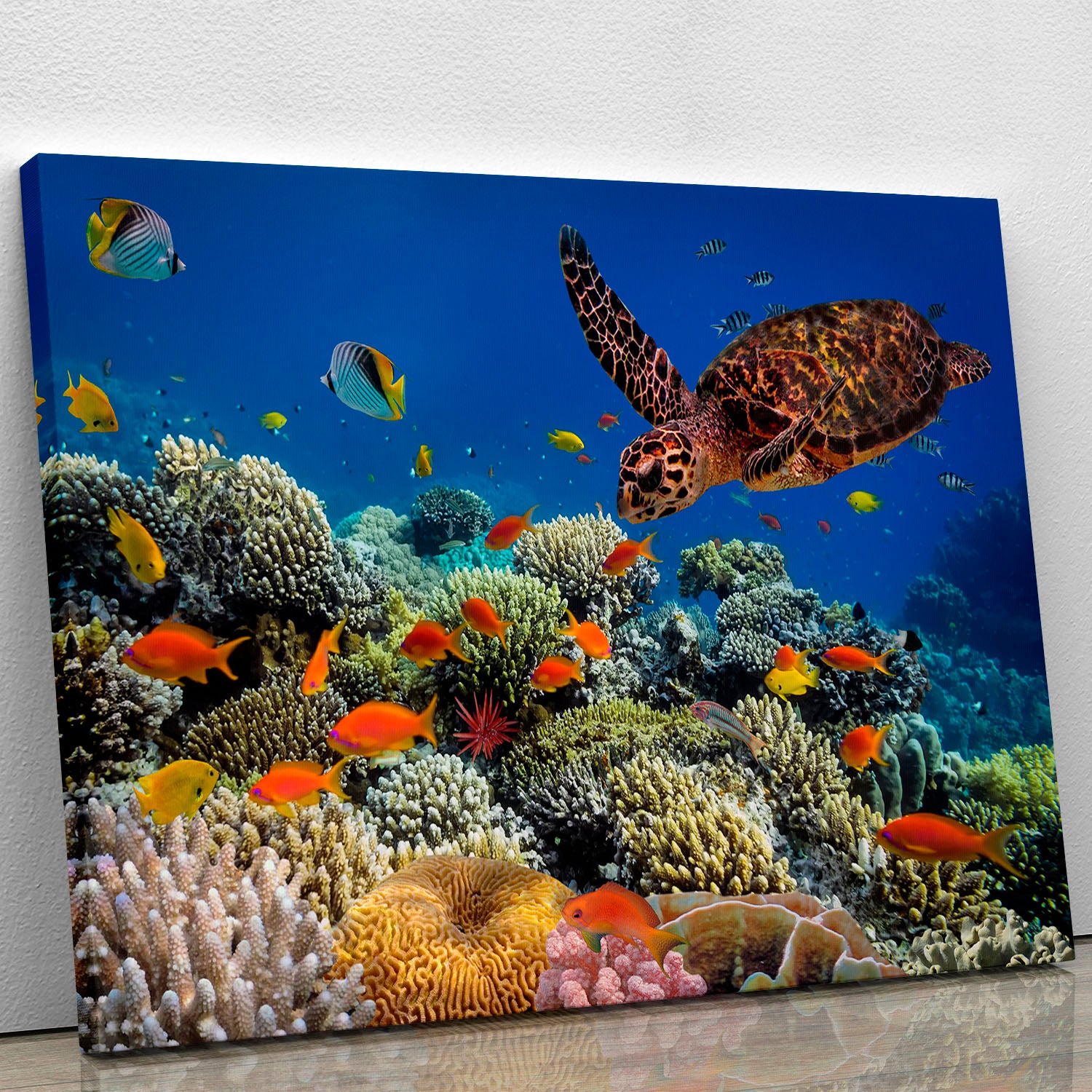 Eretmochelys imbricata floats under water Canvas Print or Poster - Canvas Art Rocks - 1