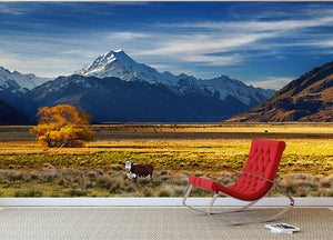 Farmland with grazing cows and Mount Cook Wall Mural Wallpaper - Canvas Art Rocks - 2