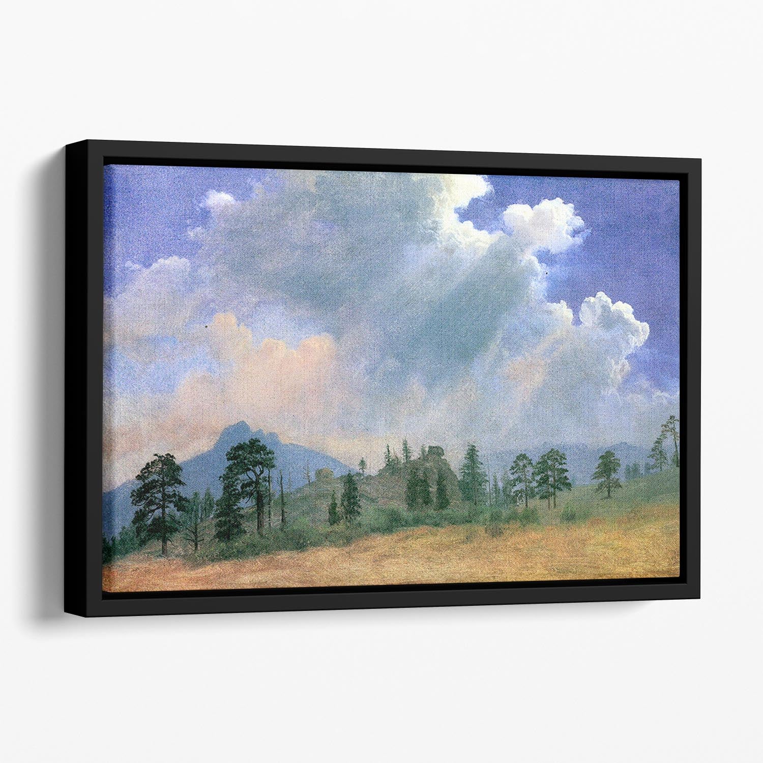 Fir trees and storm clouds by Bierstadt Floating Framed Canvas - Canvas Art Rocks - 1