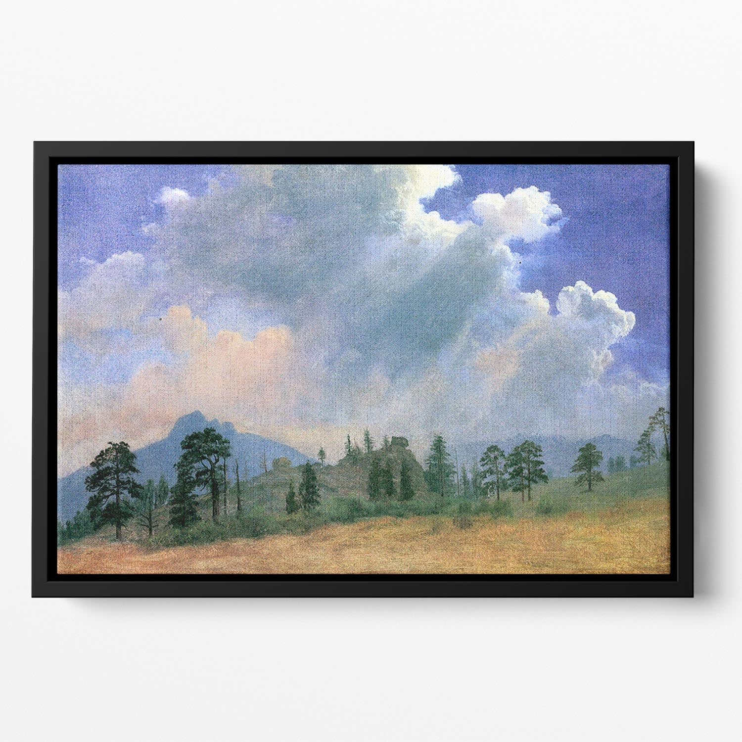 Fir trees and storm clouds by Bierstadt Floating Framed Canvas - Canvas Art Rocks - 2