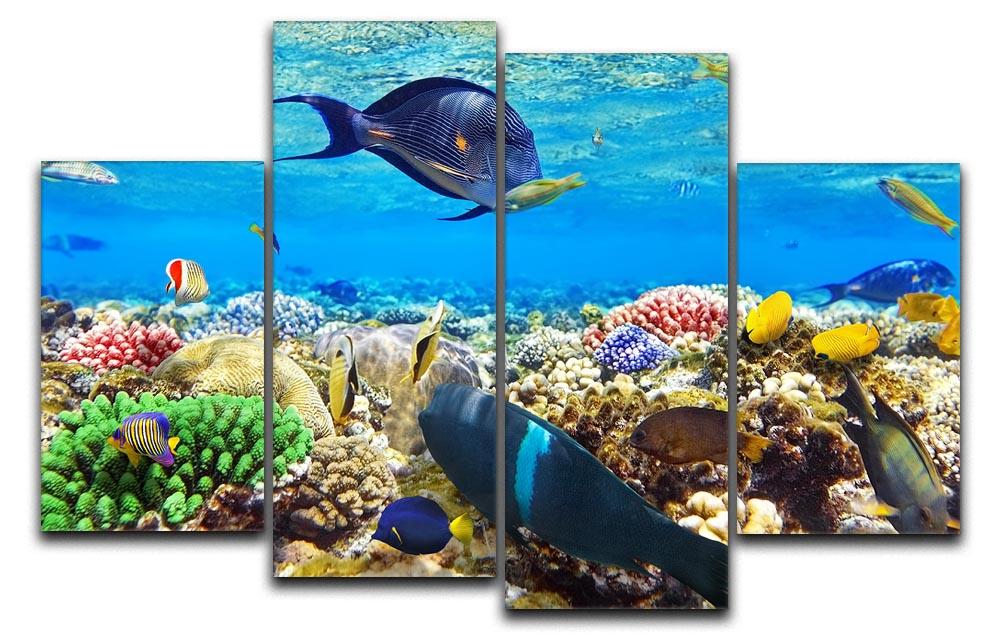 Fish in the Red Sea 4 Split Panel Canvas  - Canvas Art Rocks - 1