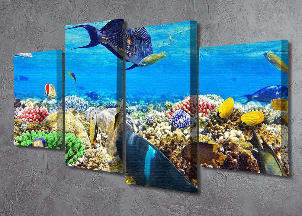 Fish in the Red Sea 4 Split Panel Canvas  - Canvas Art Rocks - 2