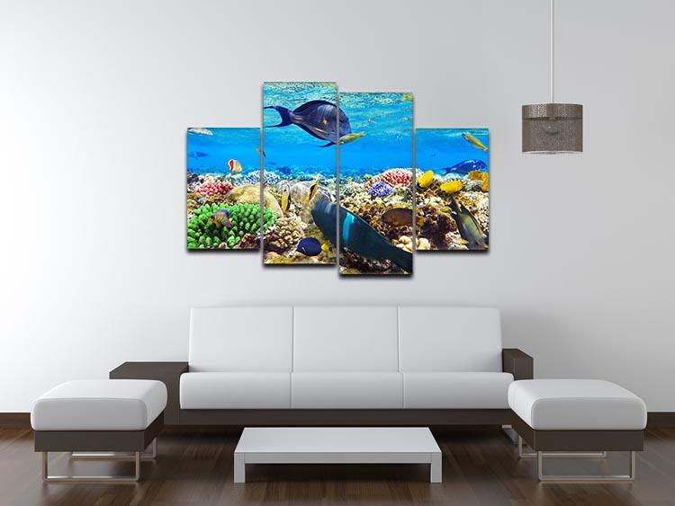 Fish in the Red Sea 4 Split Panel Canvas  - Canvas Art Rocks - 3