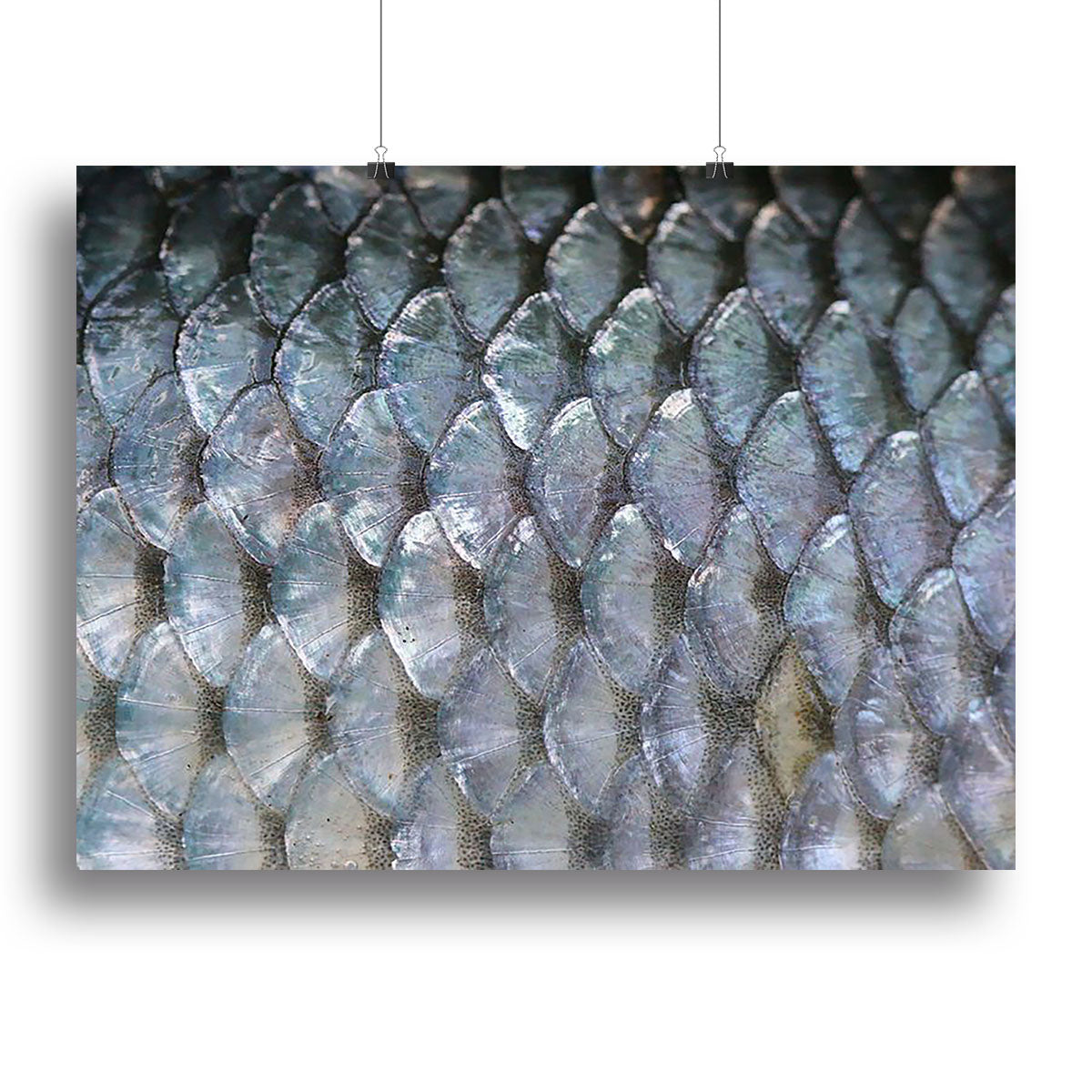 Fish scales Canvas Print or Poster - Canvas Art Rocks - 2