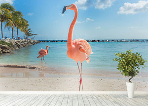 Flamingos on the Aruba beach Wall Mural Wallpaper - Canvas Art Rocks - 4