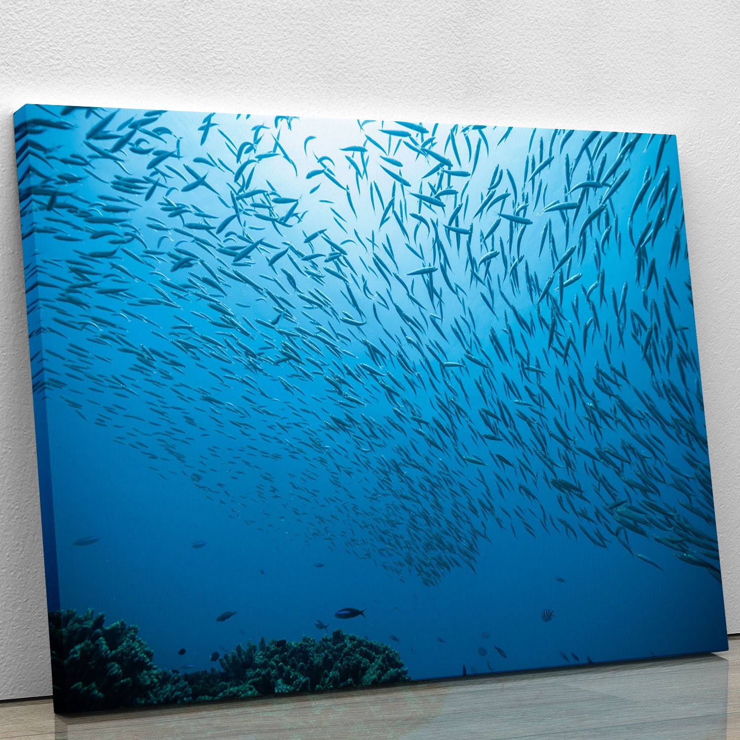 Flock of fish flowing Canvas Print or Poster - Canvas Art Rocks - 1