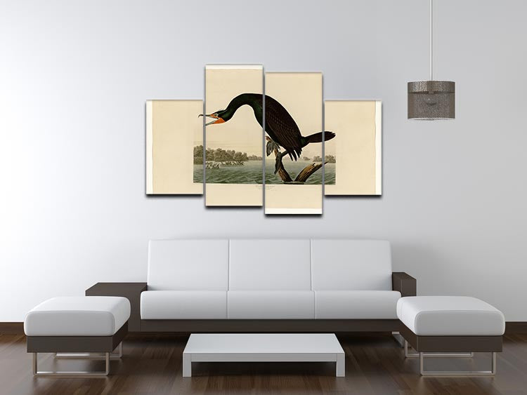 Florida Cormorant by Audubon 4 Split Panel Canvas - Canvas Art Rocks - 3