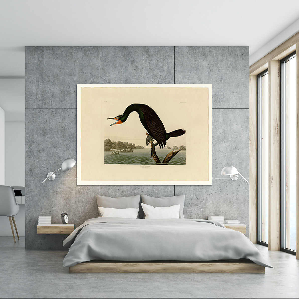Florida Cormorant by Audubon Canvas Print or Poster - Canvas Art Rocks - 5