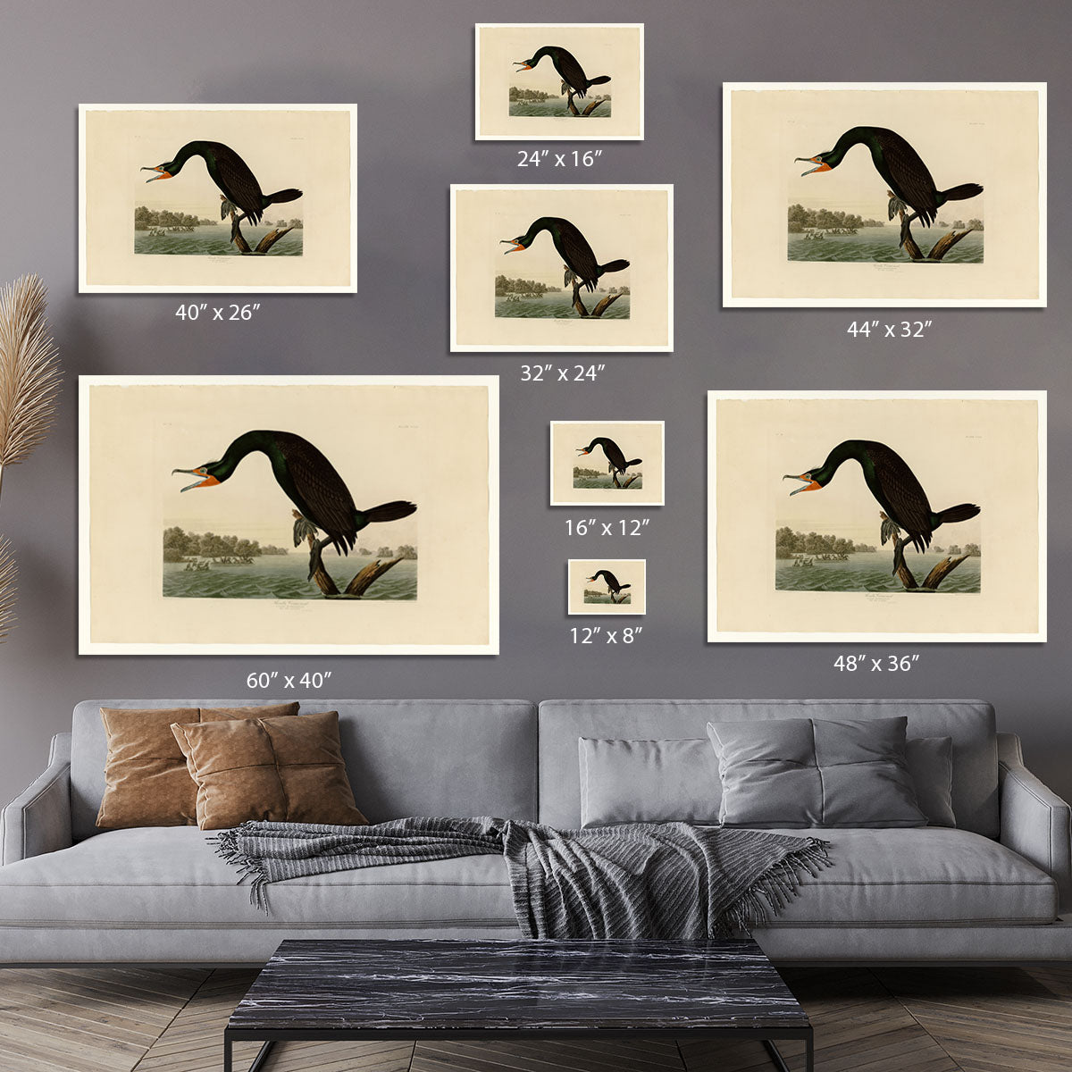 Florida Cormorant by Audubon Canvas Print or Poster - Canvas Art Rocks - 7