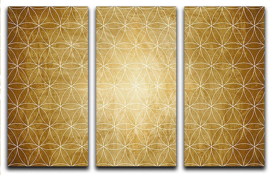 Flower Geometry 3 Split Panel Canvas Print - Canvas Art Rocks - 1